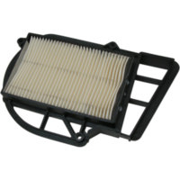 Air cleaner / Air Filter MIW Y4193 for Yamaha Majesty 250 (00-)