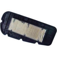 Air cleaner / Air Filter MIW SY25104 for Sym Citycom 300 (07-13)