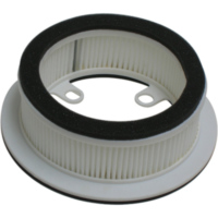 Air cleaner / Air Filter MIW Y4210 for Yamaha XP530 T-Max (12-16) (R)