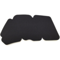 Air cleaner / Air Filter MIW PG34110 for Peugeot 125 Citystart/Satelis