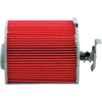Luftfilter MIW H1246 für Honda CB250 Two Fifty (91-02)-CB250 Nigh