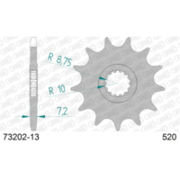 Front Sprocket AFAM 520 - 13t 7320213