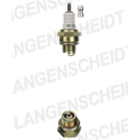 Spark plug NGK BM7A