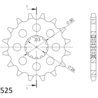 Ritzel 525/16Z 88600A16