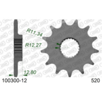 Front Sprocket AFAM 520 - 12t 10030012