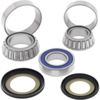 Steering Bearing Kit for: Indian CHIEF CLASSIC 14-17