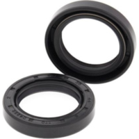 Crank Shaft Seal Kit for: Polaris Cyclone 250 87