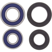 Wheel Bearing Kit Front Arctic Cat 250 2x4 06-09
