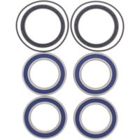 Wheel Bearing Kit Rear for: Suzuki LT-R450 06-11