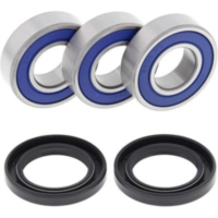 Talon Hub Bearing / seal kit 41251594