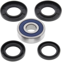 Wheel Bearing Kit Rear CF-Moto CF GLORY