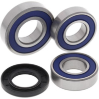 Wheel Bearing Kit Rear for: KTM Duke 690 14-17