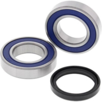 Wheel Bearing Kit Rear Arctic Cat 250 2x4 06-09