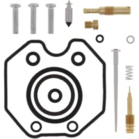 Carburetor Rebuild Kit for: Honda TRX250TE Recon 05-14