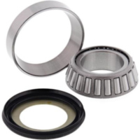 Stearing Bearing + Seal 419935135