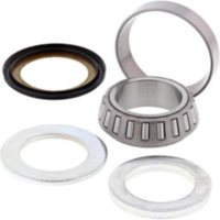 Stearing Bearing + Seal 419935415