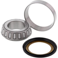 Stearing Bearing + Seal 419935425