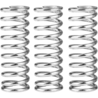 SBS Clutch Springs-Kit 30103