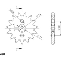 Ritzel Supersprox 428/13Z 22110-13