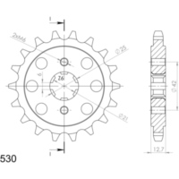 Ritzel Supersprox 530/17Z 20502-17