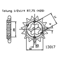ESJOT Kettenritzel, 13 Zähne 92-13017-13