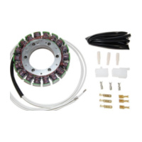 ElectroSport Stator ESG09 für Lichtmaschine
