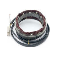 ElectroSport Stator ESG21 für Lichtmaschine