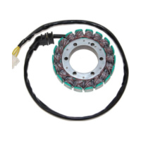 ElectroSport Stator ESG71 for alternator