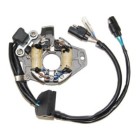 ElectroSport Stator ESC1060 for alternator