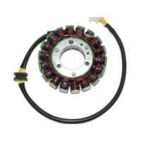 ElectroSport Stator ESG110 für Lichtmaschine