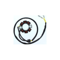 ElectroSport Stator ESG115 für Lichtmaschine