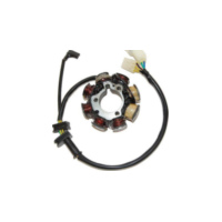 ElectroSport Stator ESG129 für Lichtmaschine