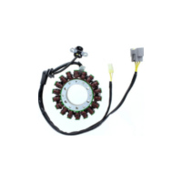 ElectroSport Stator ESG161 für Lichtmaschine
