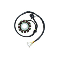 ElectroSport Stator ESG169 für Lichtmaschine
