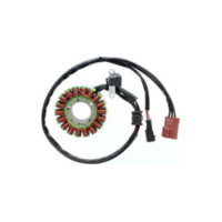 ElectroSport Stator ESG191 für Lichtmaschine