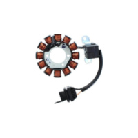 ElectroSport Stator ESG192 für Lichtmaschine