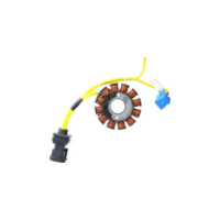 ElectroSport Alternator stator ESG194