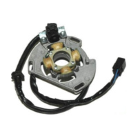 ElectroSport Stator ESC221 für Lichtmaschine