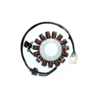 ElectroSport Stator ESG381 für Lichtmaschine