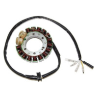 ElectroSport Stator ESG443 für Lichtmaschine