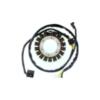 ElectroSport Stator ESG460 für Lichtmaschine