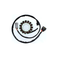 ElectroSport Stator ESG549 für Lichtmaschine