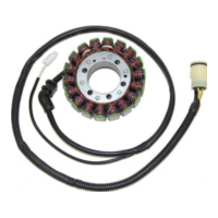 ElectroSport Stator ESG591 für Lichtmaschine