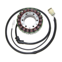 ElectroSport Stator ESG653 for alternator
