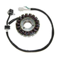 ElectroSport Stator ESG842 für Lichtmaschine