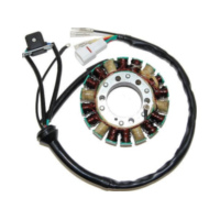 ElectroSport Stator ESG870 für Lichtmaschine