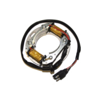 ElectroSport Stator ESC8081 für Lichtmaschine