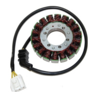 ElectroSport Stator ESG954 for alternator