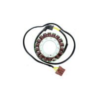 ElectroSport Stator ESG999 für Lichtmaschine