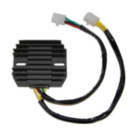 ElectroSport Charge controller ESR 160